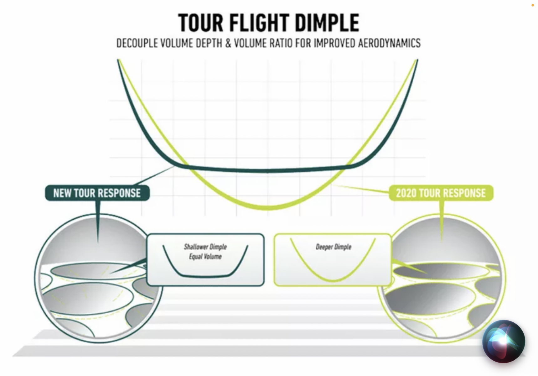 Tayloramde Tour Response Stripe ( Pearls) - Image 6