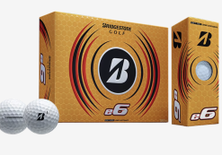 Bridgestone E6 2019 Model Golf Balls - 1 Dozen Box New